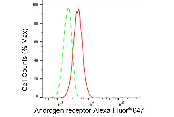 Androgen R/NR3C4 Antibody (23GB3210)