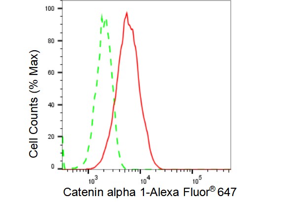 Catenin alpha 1 Antibody (23GB3335)