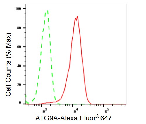 ATG9A Antibody (23GB3245)
