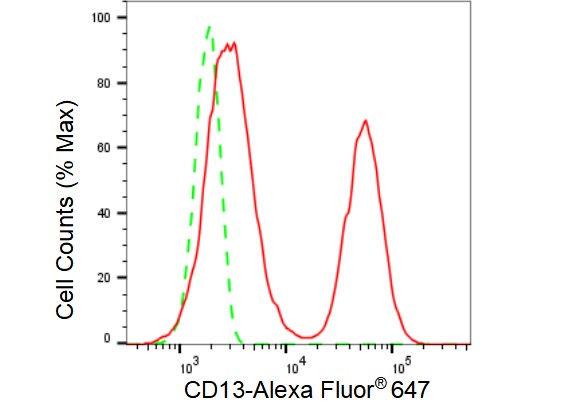 Aminopeptidase N/CD13 Antibody (23GB3360)