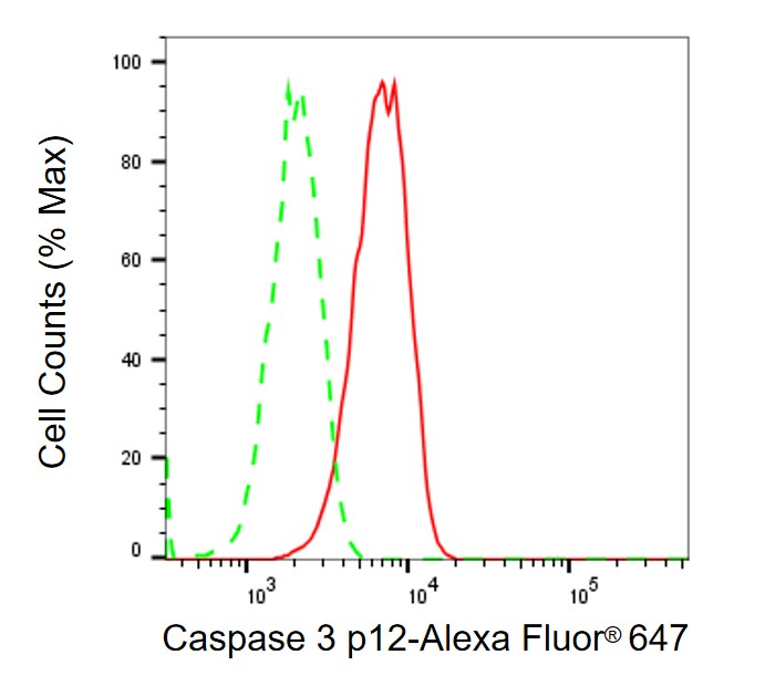 Caspase-3 Antibody (23GB3310)