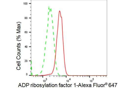 ARF1 Antibody (23GB3155)