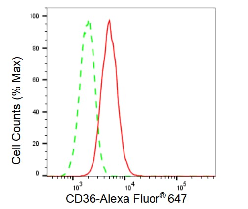 CD36 Antibody (23GB3370)