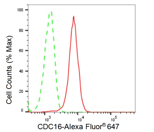 CDC16 Antibody (23GB3415)