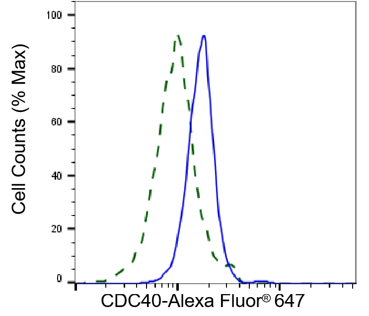 CDC40 Antibody (23GB3445)