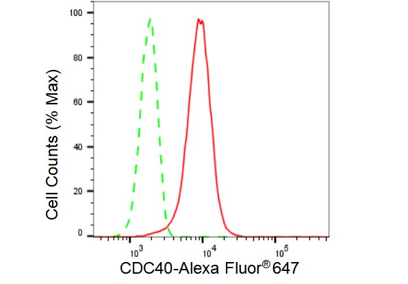 CDC40 Antibody (23GB3445)