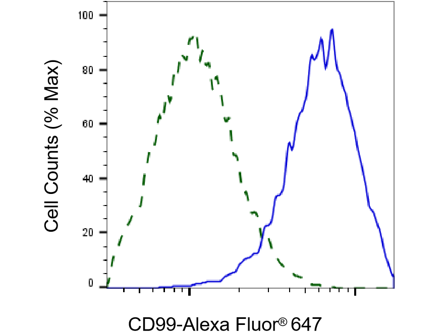 CD99 Antibody (23GB3395)