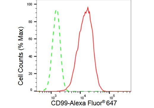 CD99 Antibody (23GB3395)