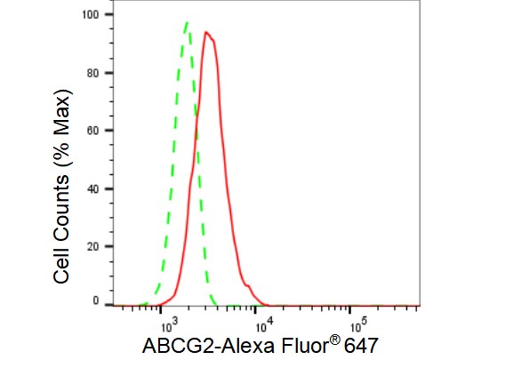ABCG2/CD338 Antibody (23GB3130)