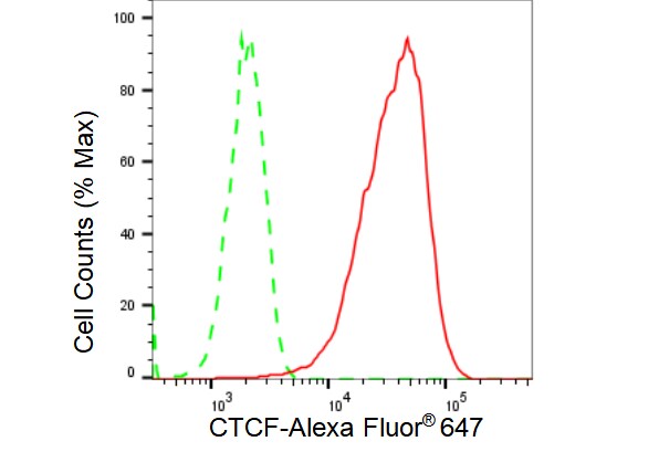CTCF Antibody (23GB3520)