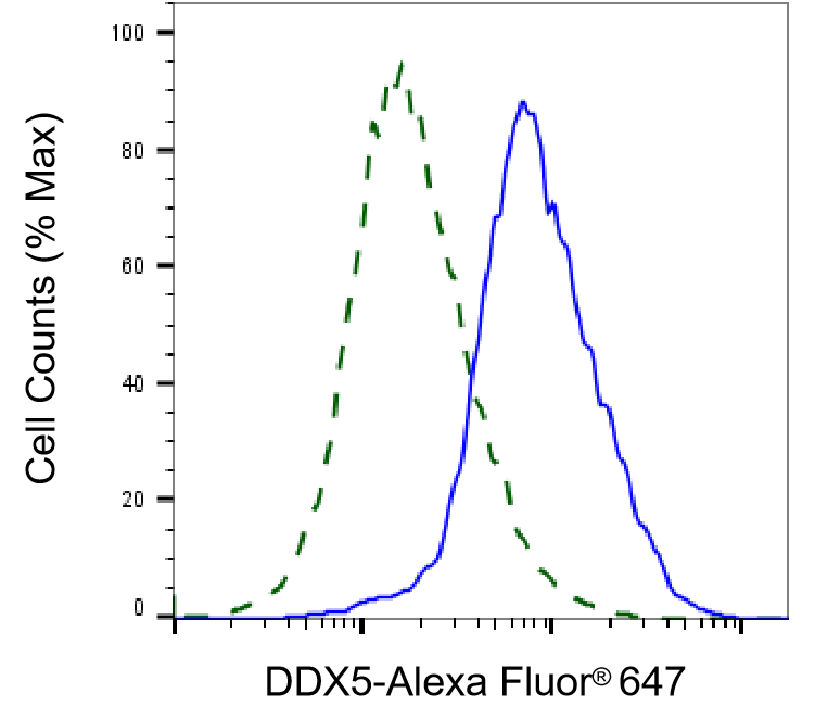 DDX5 Antibody (23GB3550)
