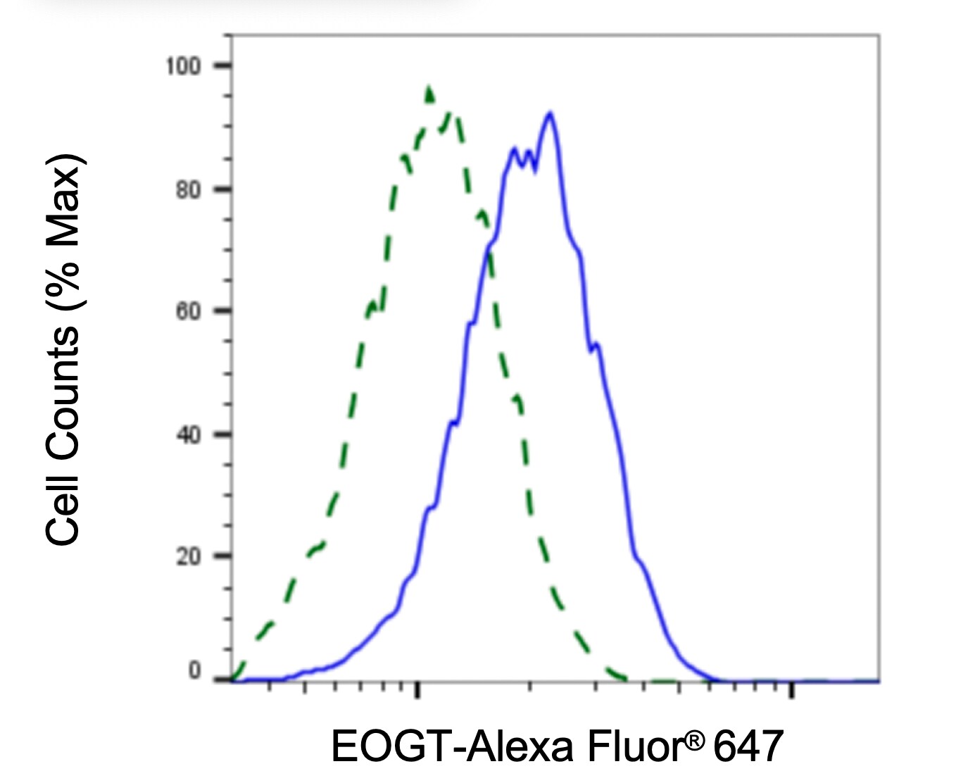 EOGT/AER61 Antibody (23GB3585)