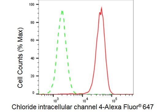 CLIC4 Antibody (23GB3465)