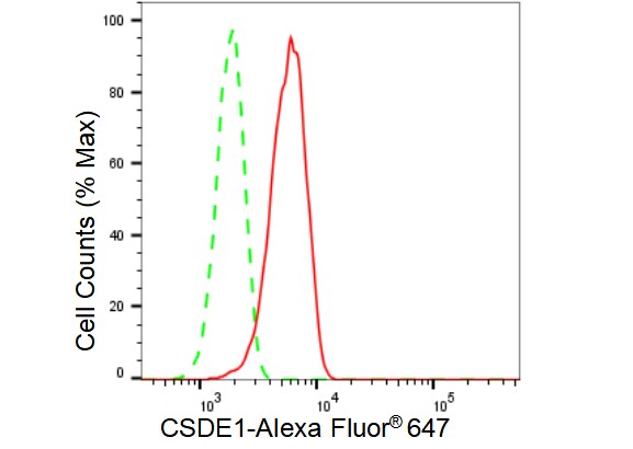 CSDE1 Antibody (23GB3505)