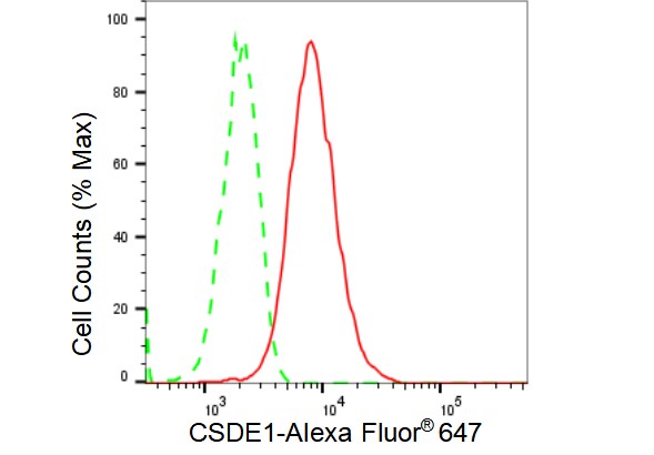 CSDE1 Antibody (23GB3510)