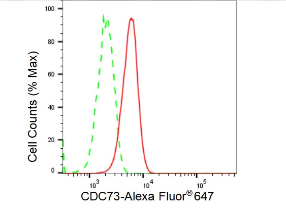 CDC73/HRPT2 Antibody (23GB3450)