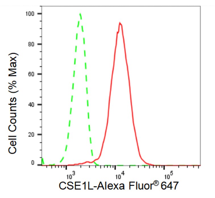 CSE1L/CAS/Exportin-2 Antibody (23GB3515)