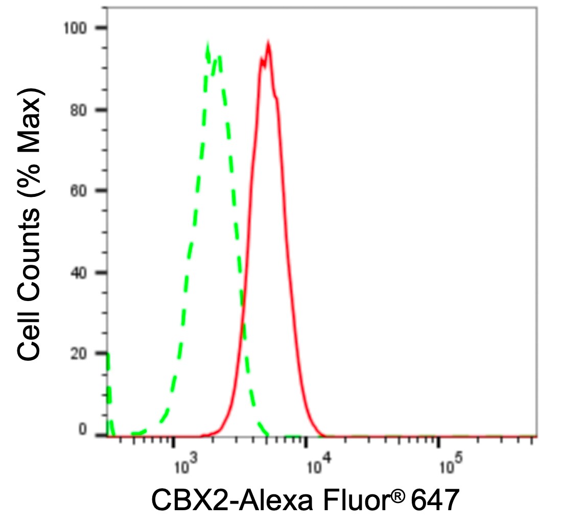Cbx2 Antibody (23GB3345)