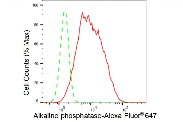 Alkaline Phosphatase, Intestinal Antibody (23GB3645)