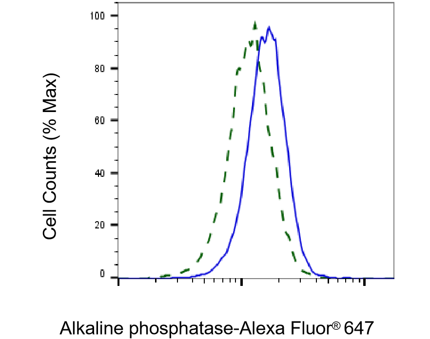 Alkaline Phosphatase, Intestinal Antibody (23GB3645)
