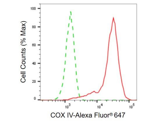 COX4 Antibody (23GB770)