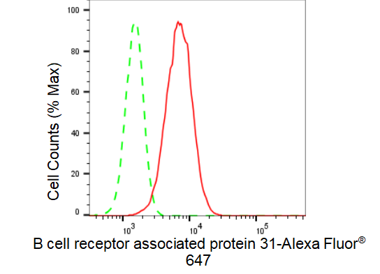 BCAP31 Antibody (23GB3680)