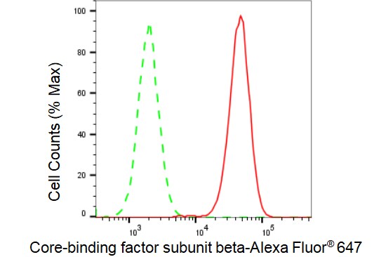 CBFB Antibody (23GB3785)