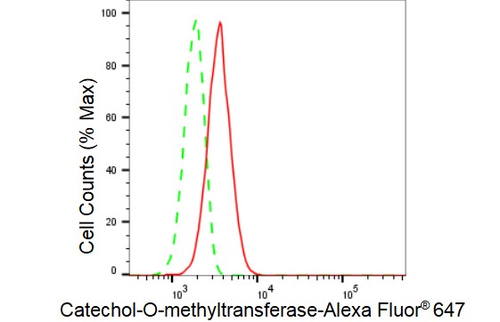 COMT Antibody (23GB3735)