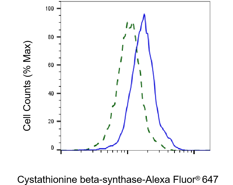 CBS Antibody (23GB3800)
