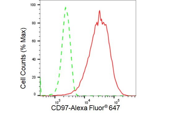 CD97 Antibody (23GB3740)