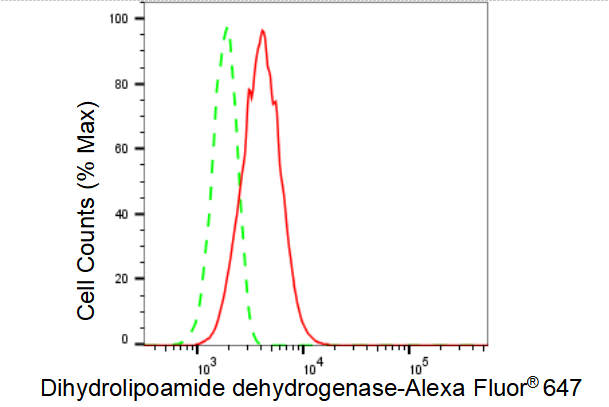 Dihydrolipoamide Dehydrogenase/DLD Antibody (23GB3825)