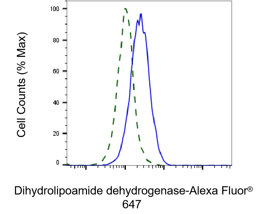 Dihydrolipoamide Dehydrogenase/DLD Antibody (23GB3825)