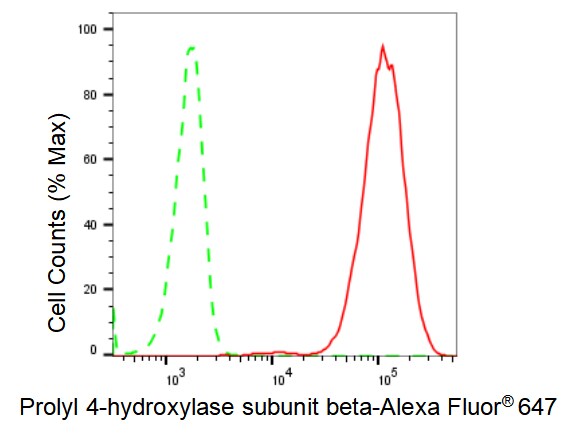 Protein Disulfide Isomerase/P4HB Antibody (23GB2890)