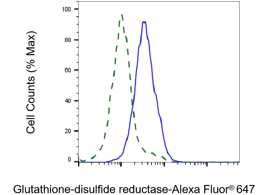 Glutathione Reductase Antibody (23GB2845)
