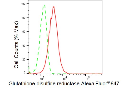 Glutathione Reductase Antibody (23GB2845)