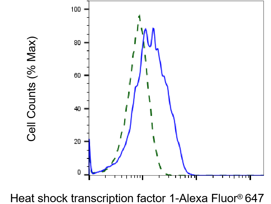 HSF1 Antibody (23GB2715)