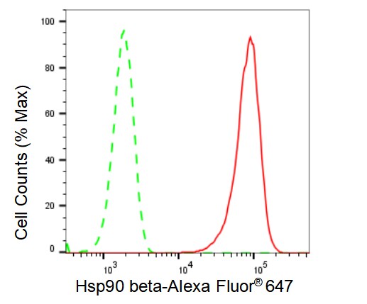 HSP90 beta Antibody (23GB2785)