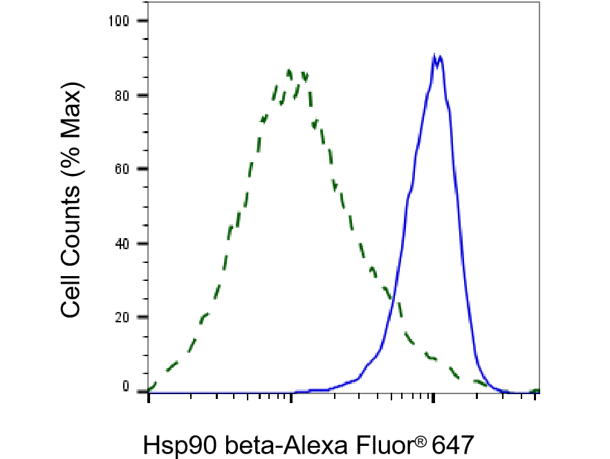 HSP90 beta Antibody (23GB2785)