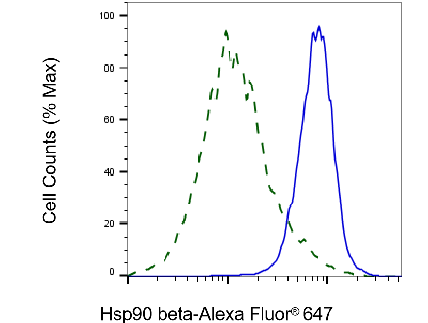 HSP90 beta Antibody (23GB2770)