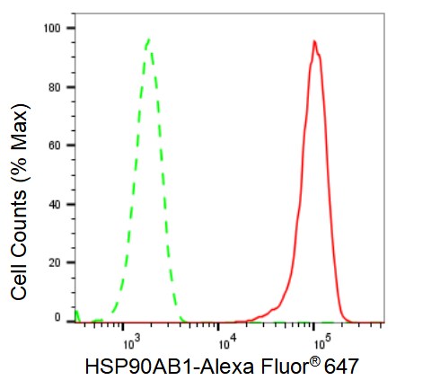 HSP90 beta Antibody (23GB2770)
