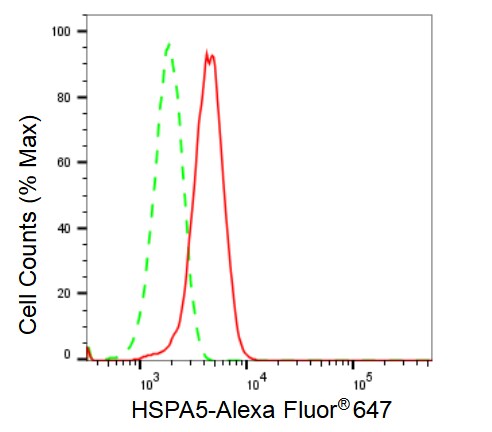 GRP78/HSPA5 Antibody (23GB2445)