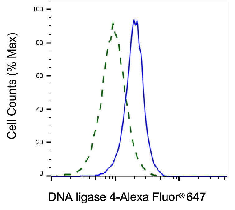 DNA Ligase IV Antibody (23GB2515)