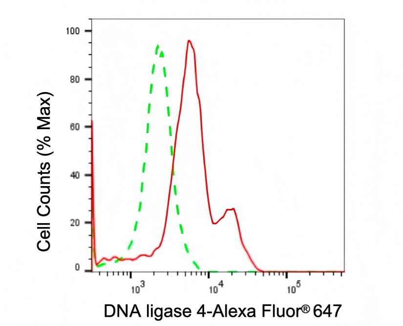 DNA Ligase IV Antibody (23GB2515)