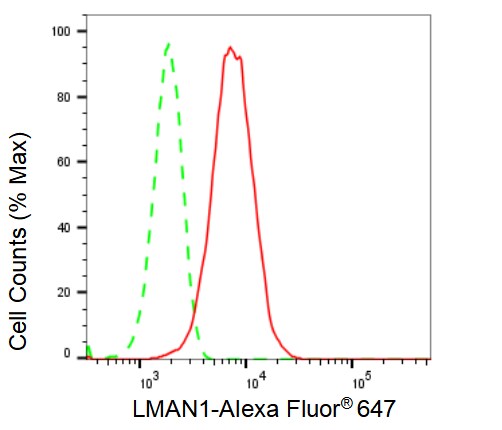 LMAN1 Antibody (23GB2835)