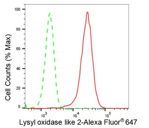 Lysyl Oxidase Homolog 2/LOXL2 Antibody (23GB2610)