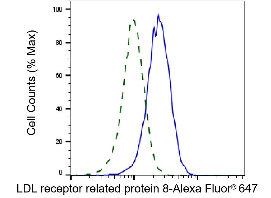 Apolipoprotein E R2/ApoE R2 Antibody (23GB2520)