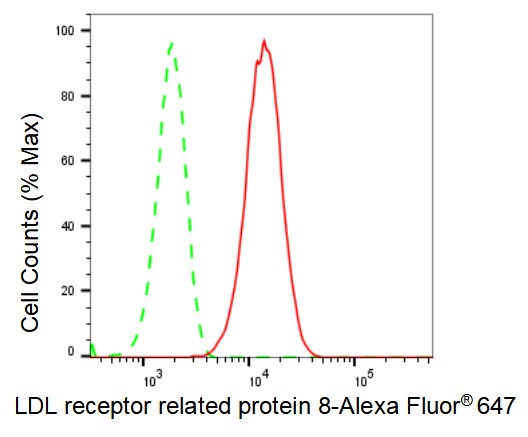 Apolipoprotein E R2/ApoE R2 Antibody (23GB2520)