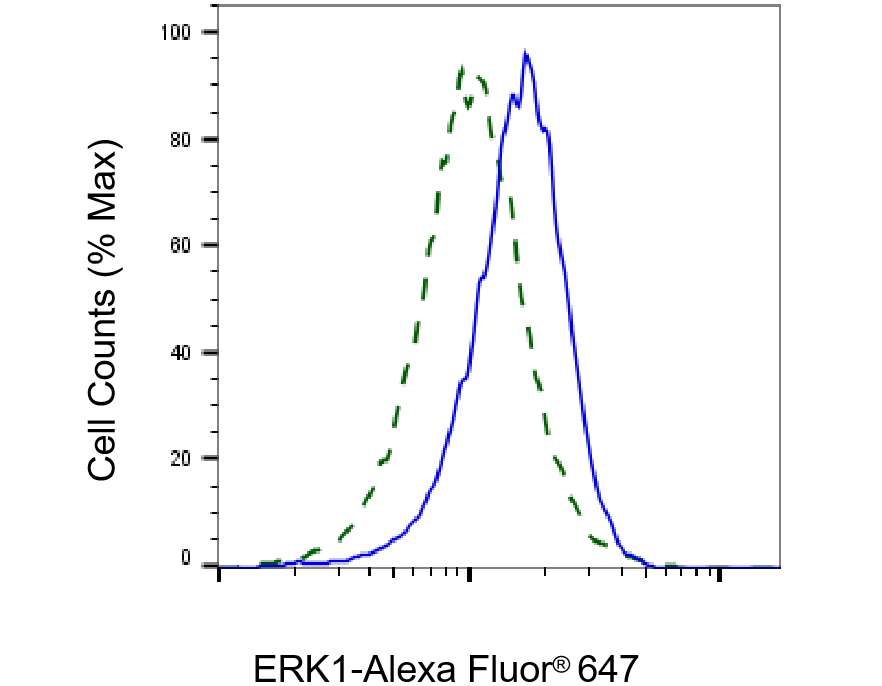 ERK1 Antibody (23GB2455)