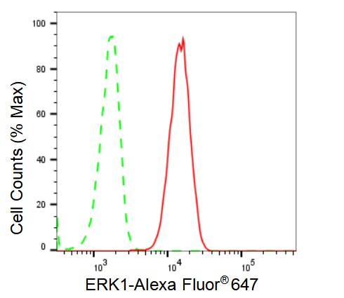 ERK1 Antibody (23GB2455)
