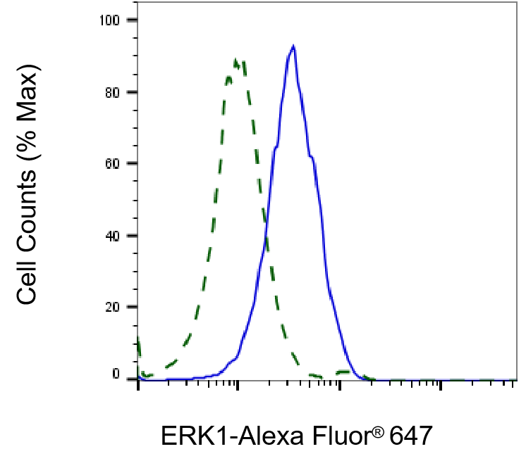 ERK1 Antibody (23GB2450)